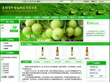 昆明商智科技 文集